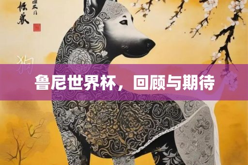 鲁尼世界杯,回顾与期待