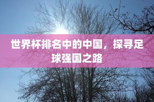 世界杯排名中的中国，探寻足球强国之路