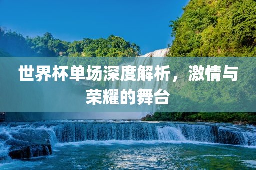 世界杯单场深度解析,激情与荣耀的舞台