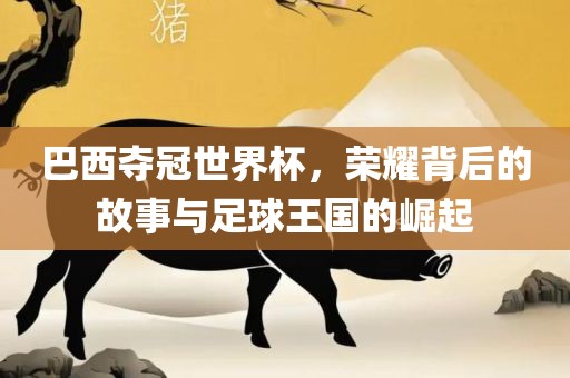 巴西夺冠世界杯,荣耀背后的故事与足球王国的崛起