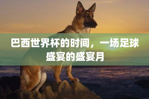 巴西世界杯的时间,一场足球盛宴的盛宴月