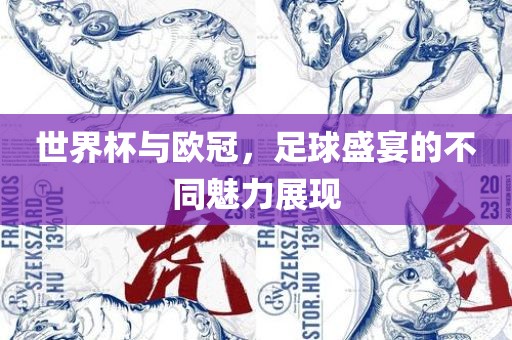 世界杯与欧冠,足球盛宴的不同魅力展现