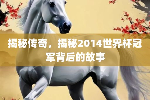 揭秘传奇,揭秘2014世界杯冠军背后的故事