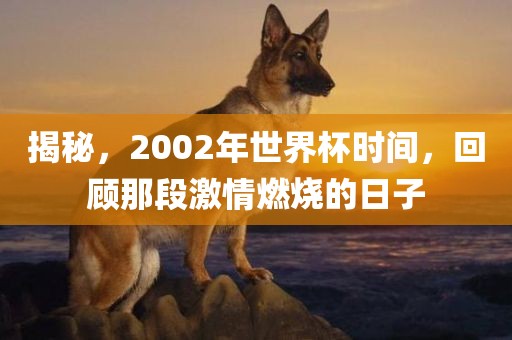 揭秘,2002年世界杯时间,回顾那段激情燃烧的日子