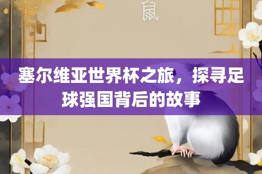 塞尔维亚世界杯之旅,探寻足球强国背后的故事