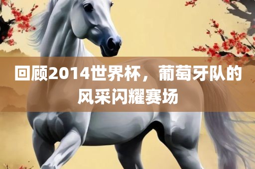 回顾2014世界杯,葡萄牙队的风采闪耀赛场