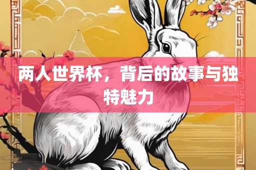 两人世界杯，背后的故事与独特魅力