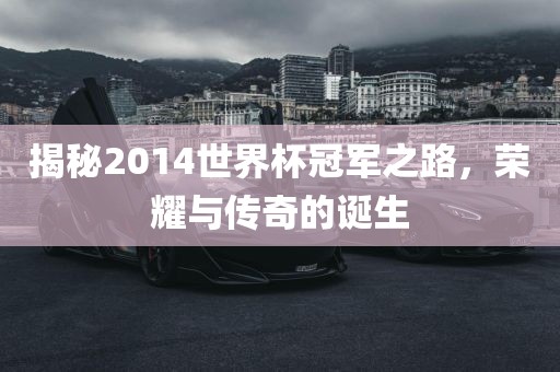 揭秘2014世界杯冠军之路,荣耀与传奇的诞生
