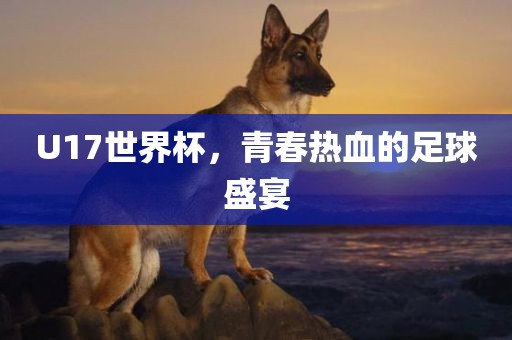 U17世界杯,青春热血的足球盛宴
