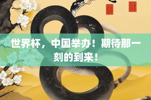 世界杯，中国举办！期待那一刻的到来！