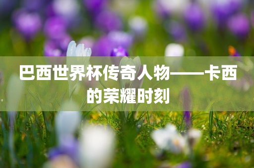 巴西世界杯传奇人物——卡西的荣耀时刻