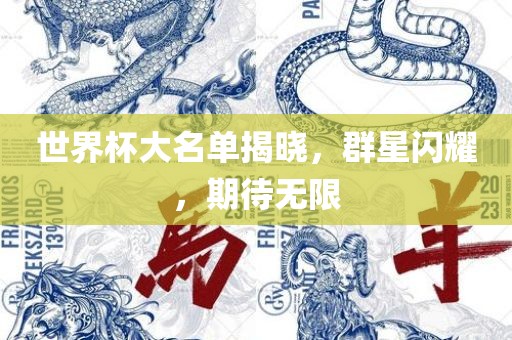 世界杯大名单揭晓,群星闪耀,期待无限