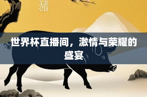 世界杯直播间,激情与荣耀的盛宴