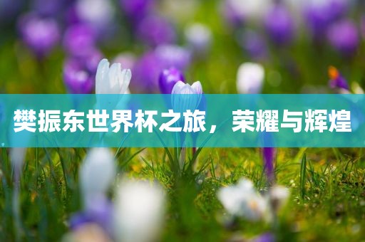 樊振东世界杯之旅,荣耀与辉煌