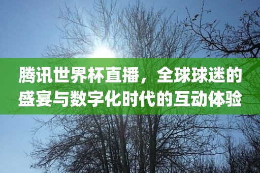 腾讯世界杯直播,全球球迷的盛宴与数字化时代的互动体验