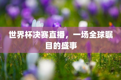 世界杯决赛直播,一场全球瞩目的盛事