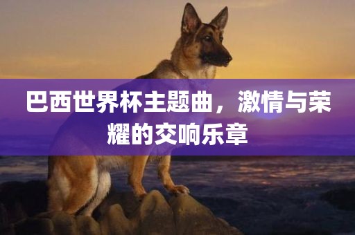 巴西世界杯主题曲，激情与荣耀的交响乐章