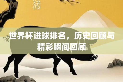 世界杯进球排名，历史回顾与精彩瞬间回顾