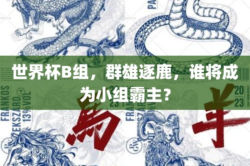 世界杯B组,群雄逐鹿,谁将成为小组霸主?
