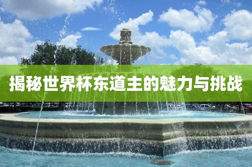 揭秘世界杯东道主的魅力与挑战