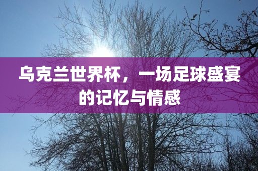 乌克兰世界杯,一场足球盛宴的记忆与情感