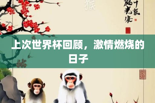 上次世界杯回顾,激情燃烧的日子