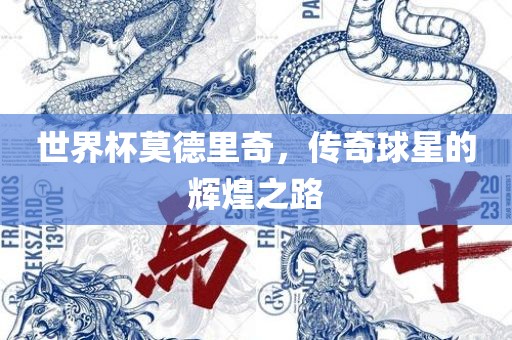 世界杯莫德里奇，传奇球星的辉煌之路