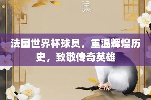 法国世界杯球员，重温辉煌历史，致敬传奇英雄