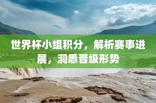 世界杯小组积分，解析赛事进展，洞悉晋级形势