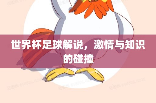 世界杯足球解说,激情与知识的碰撞