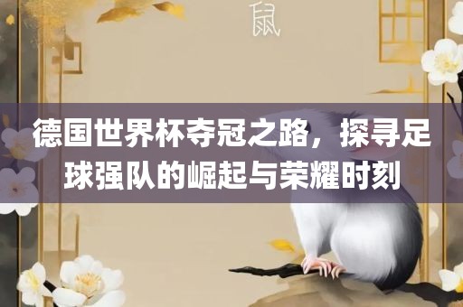 德国世界杯夺冠之路,探寻足球强队的崛起与荣耀时刻