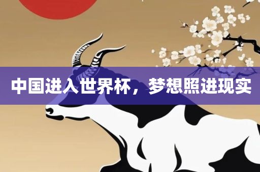 中国进入世界杯,梦想照进现实