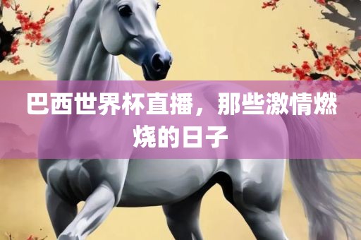 巴西世界杯直播,那些激情燃烧的日子