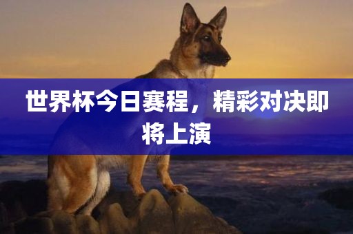 世界杯今日赛程,精彩对决即将上演