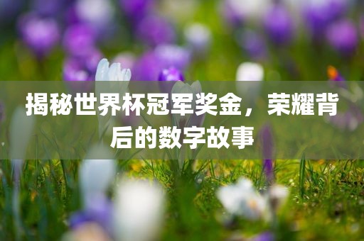 揭秘世界杯冠军奖金,荣耀背后的数字故事