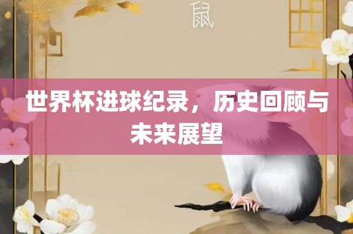 世界杯进球纪录,历史回顾与未来展望