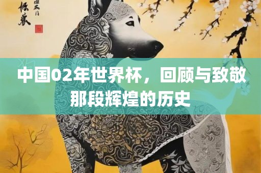 中国02年世界杯,回顾与致敬那段辉煌的历史