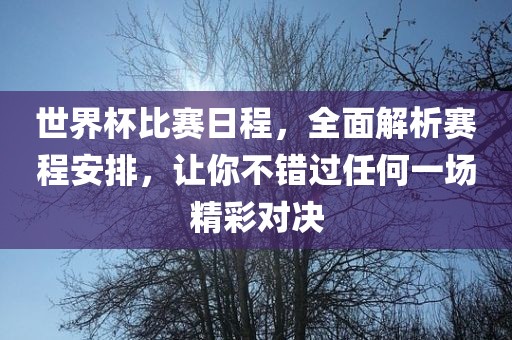 世界杯比赛日程,全面解析赛程安排,让你不错过任何一场精彩对决