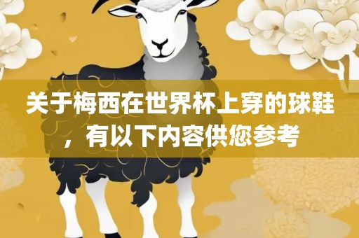 关于梅西在世界杯上穿的球鞋，有以下内容供您参考