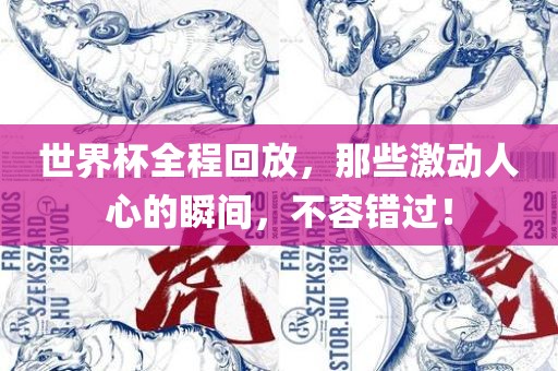 世界杯全程回放,那些激动人心的瞬间,不容错过!