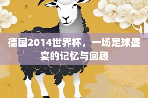 德国2014世界杯,一场足球盛宴的记忆与回顾