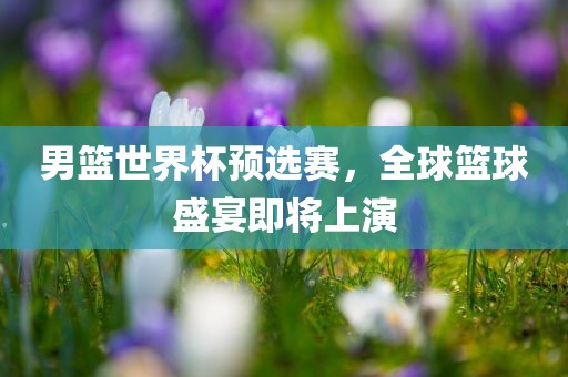 男篮世界杯预选赛,全球篮球盛宴即将上演