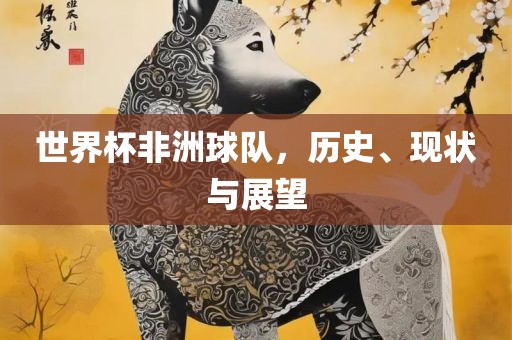世界杯非洲球队,历史、现状与展望