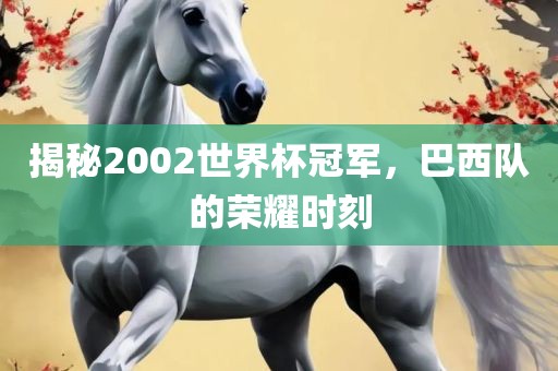 揭秘2002世界杯冠军,巴西队的荣耀时刻