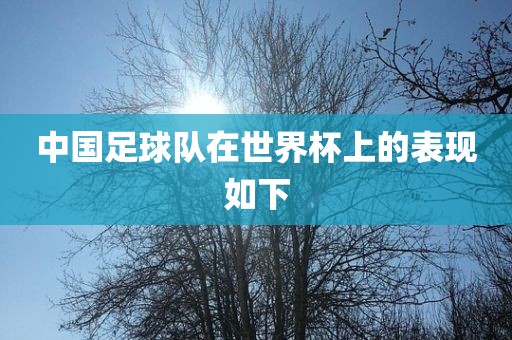 中国足球队在世界杯上的表现如下