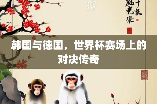 韩国与德国,世界杯赛场上的对决传奇