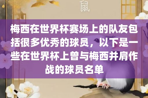 梅西在世界杯赛场上的队友包括很多优秀的球员，以下是一些在世界杯上曾与梅西并肩作战的球员名单