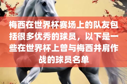 梅西在世界杯赛场上的队友包括很多优秀的球员，以下是一些在世界杯上曾与梅西并肩作战的球员名单