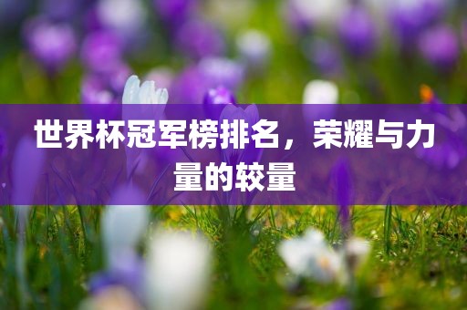 世界杯冠军榜排名,荣耀与力量的较量