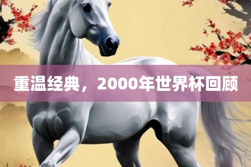 重温经典,2000年世界杯回顾